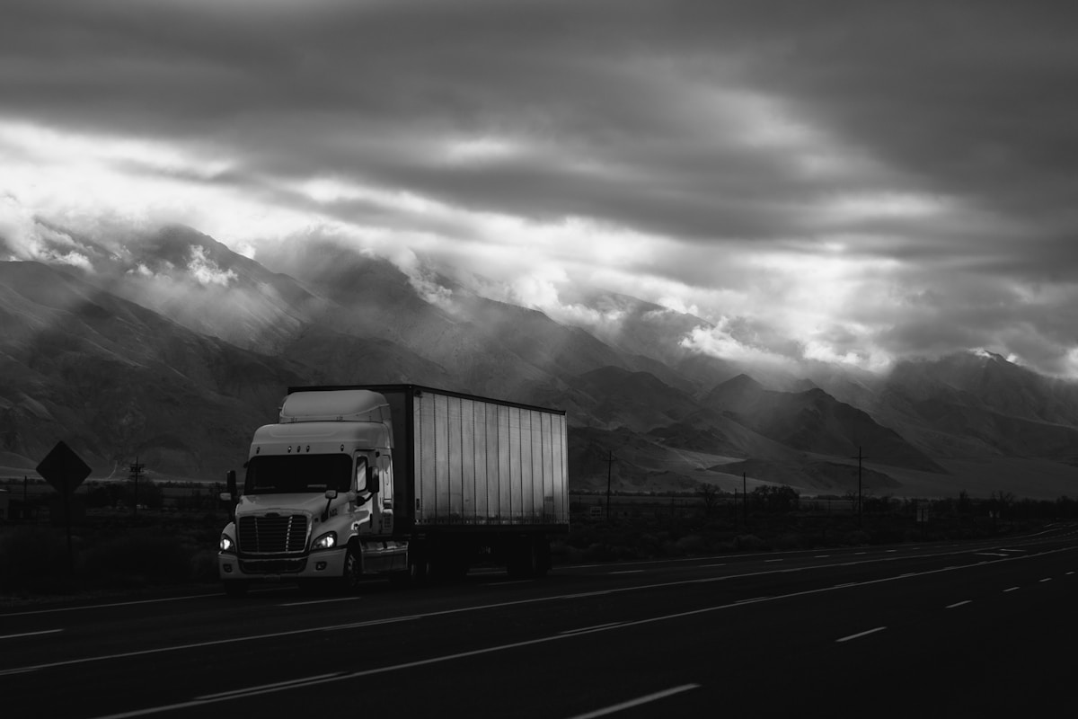 RICH TRAILBLAZER TRUCKING LLC operations and freight handling